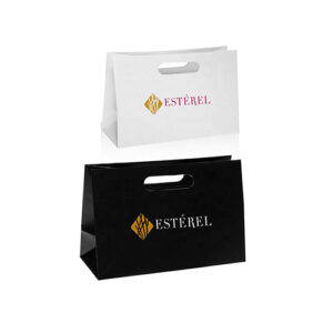 Art Paper Bag with Die Cut Handle - 10€ x 4€ x 6€ - 8004 (Copy) - JLC Golf Shop